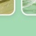 包邮)龙须菜5干货非无盐商用批发10斤海石花菜鹿角菜海草