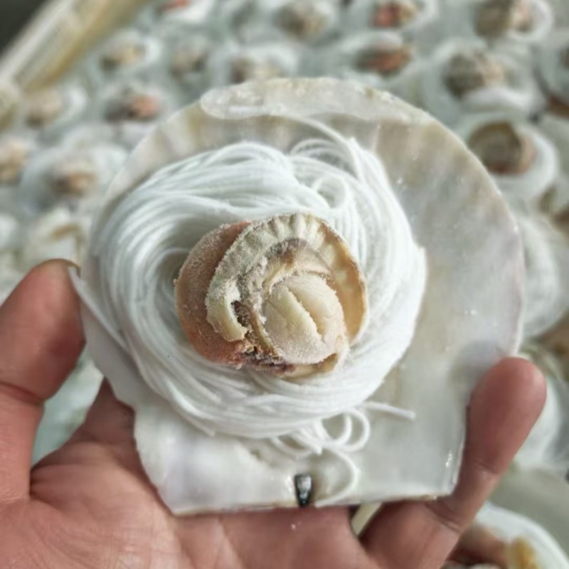 粉丝扇贝海鲜自助烧烤食材半壳扇贝
