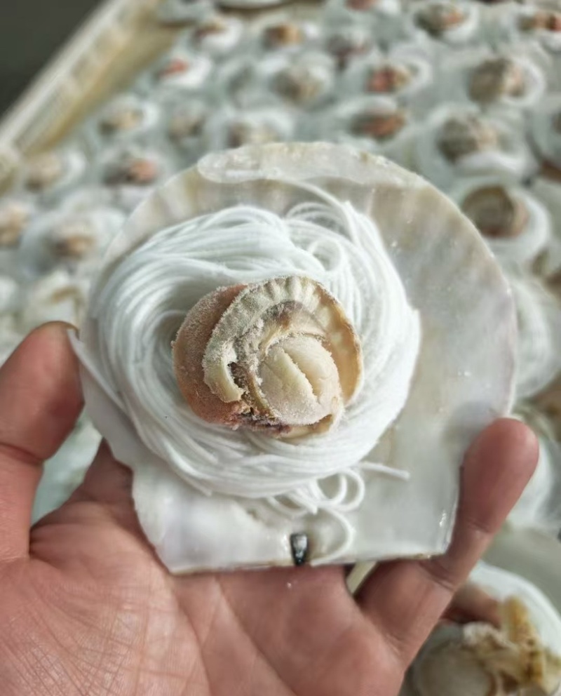 粉丝扇贝海鲜自助烧烤食材半壳扇贝