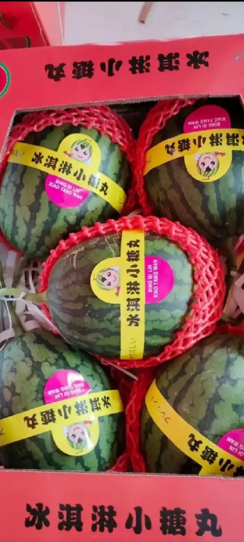 甜王西瓜产地直发，河北基地，现货供应品质保障，视频看货