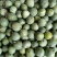 绿宝石甜瓜山东地区大棚头茬一件代发质量保证