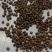 苏麻苏子榨油喂鸟净货灰色出油率40%左右大量批发白苏也有