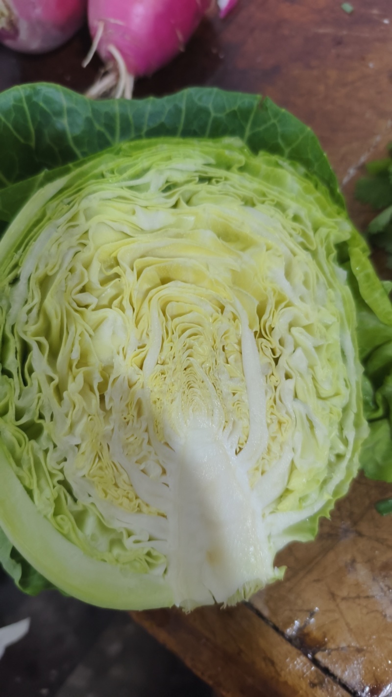 甘蓝