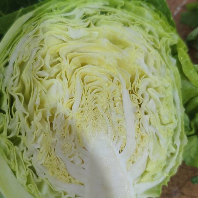 甘蓝