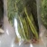 【泡菜】盐渍香椿商用，量大，规格全。