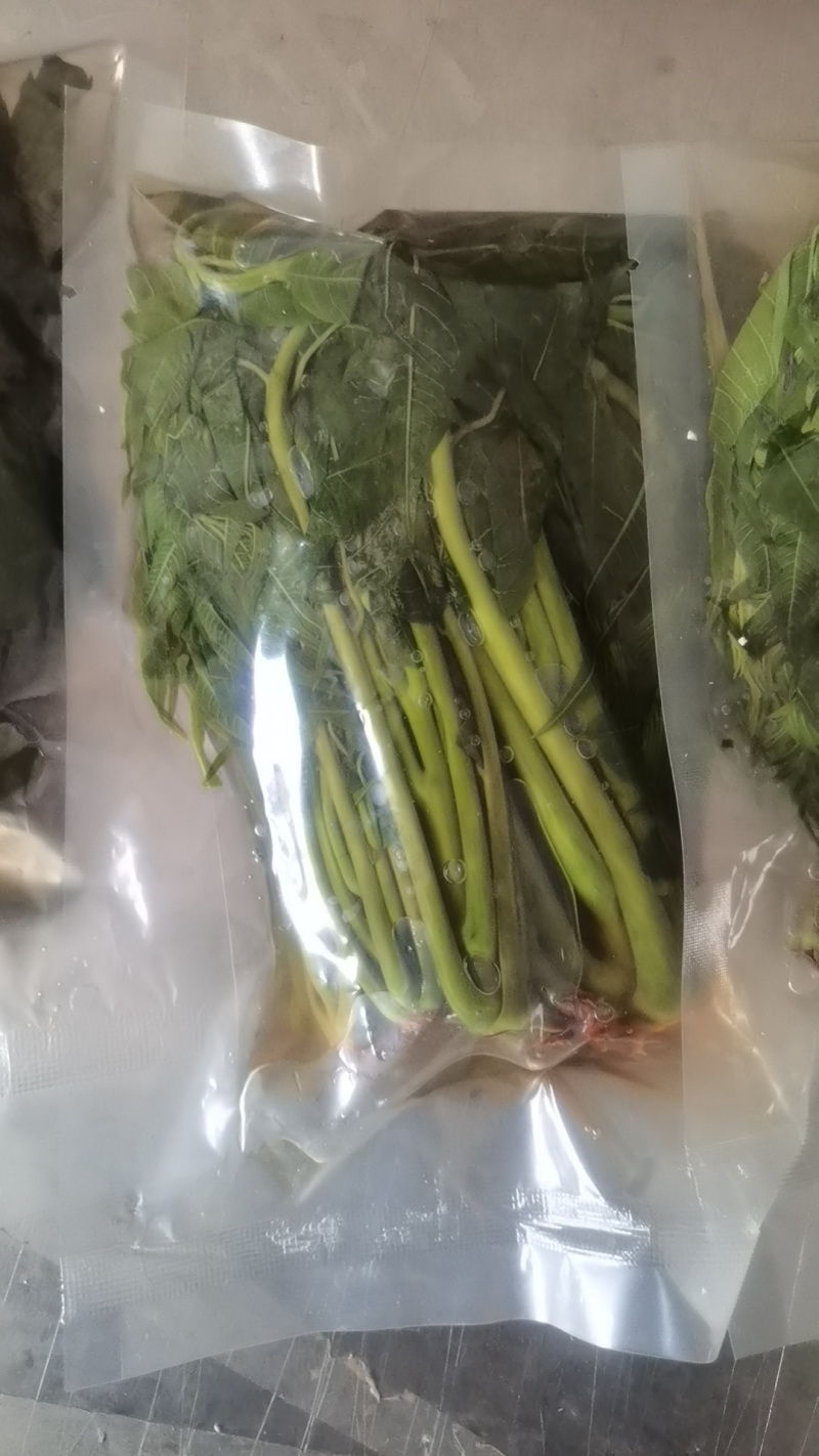 【泡菜】盐渍香椿商用，量大，规格全。