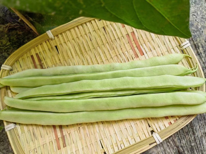 白不老质量优，价格美丽！欢迎您与我联系！