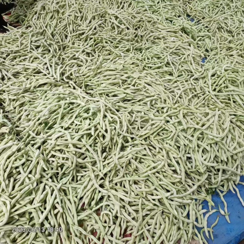 白不老质量优，价格美丽！欢迎您与我联系！