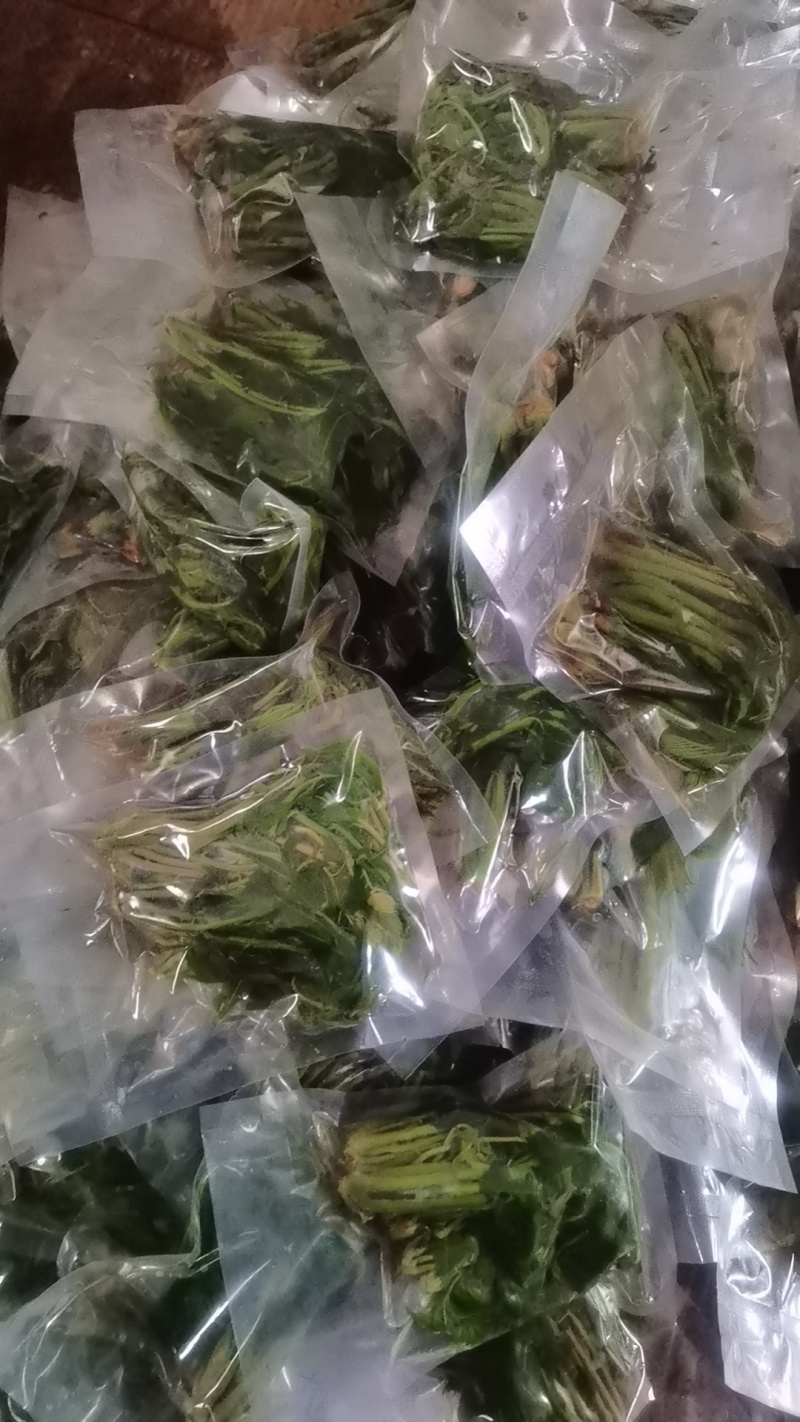 【泡菜】盐渍香椿商用，量大，规格全。