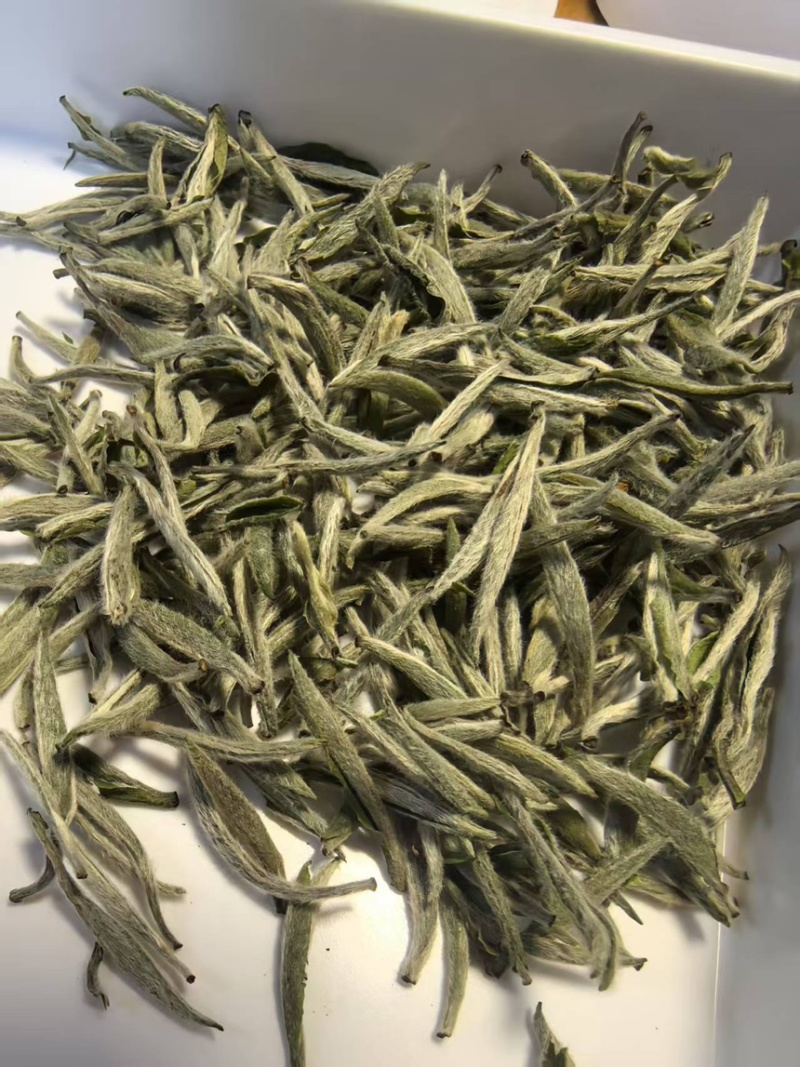 【精品货源】白茶白毫银针厂家直供规格齐全全国发货