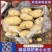 【推荐】河南通许黄心土豆大量接单现挖现发欢迎来电咨询
