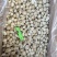 鱿鱼嘴去牙齿捞汁烧烤食材原料无冰免处理脆嫩爆炒白灼尤鱼