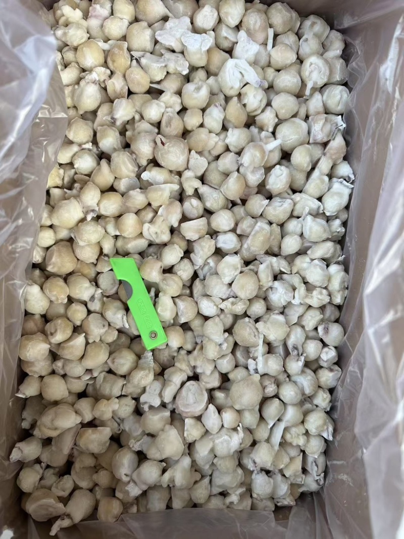 鱿鱼嘴去牙齿捞汁烧烤食材原料无冰免处理脆嫩爆炒白灼尤鱼