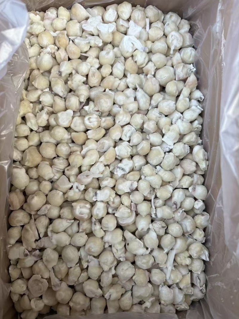 鱿鱼嘴去牙齿捞汁烧烤食材原料无冰免处理脆嫩爆炒白灼尤鱼