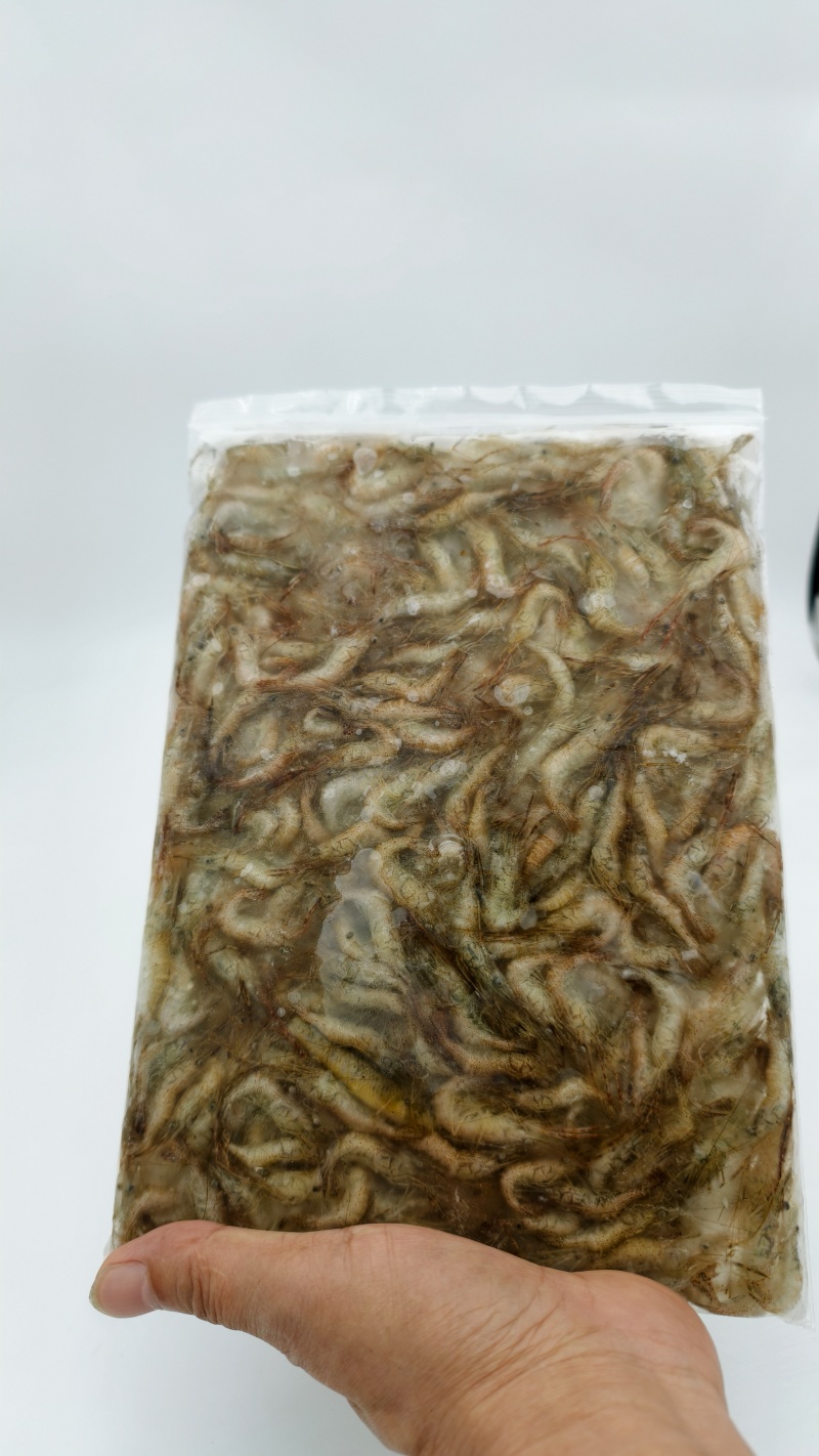 广东河虾常年大量现货供应，规格齐全，欢迎来电洽谈合作