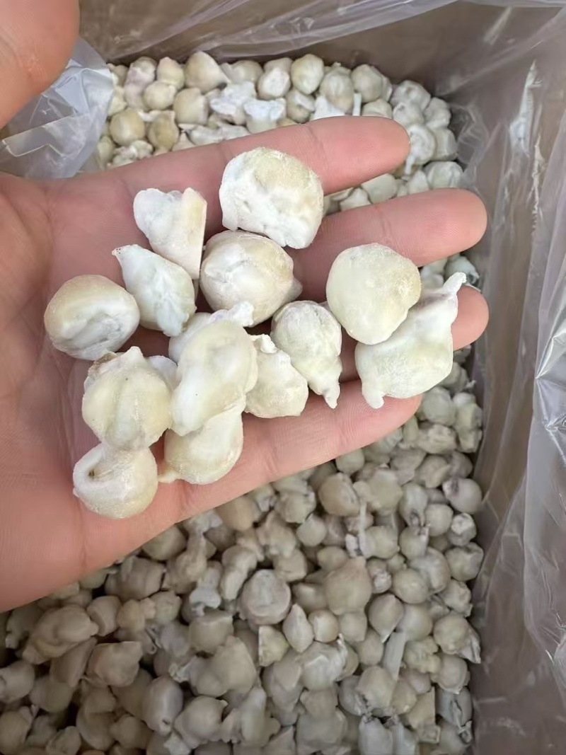 鱿鱼嘴去牙齿捞汁烧烤食材原料无冰免处理脆嫩爆炒白灼尤鱼