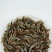 广东河虾常年大量现货供应，规格齐全，欢迎来电洽谈合作