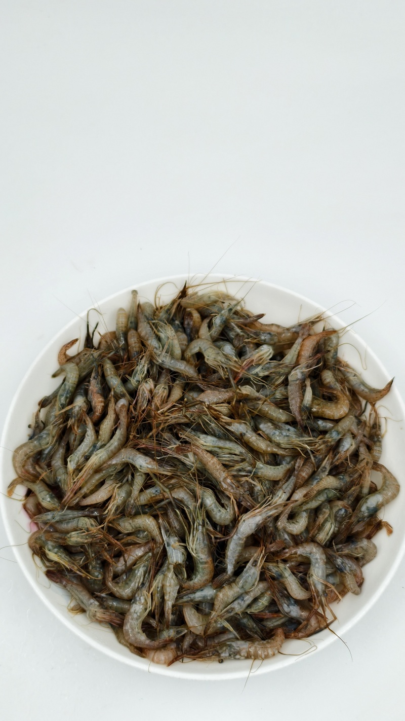 广东河虾常年大量现货供应，规格齐全，欢迎来电洽谈合作