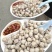 鱿鱼嘴去牙齿捞汁烧烤食材原料无冰免处理脆嫩爆炒白灼尤鱼