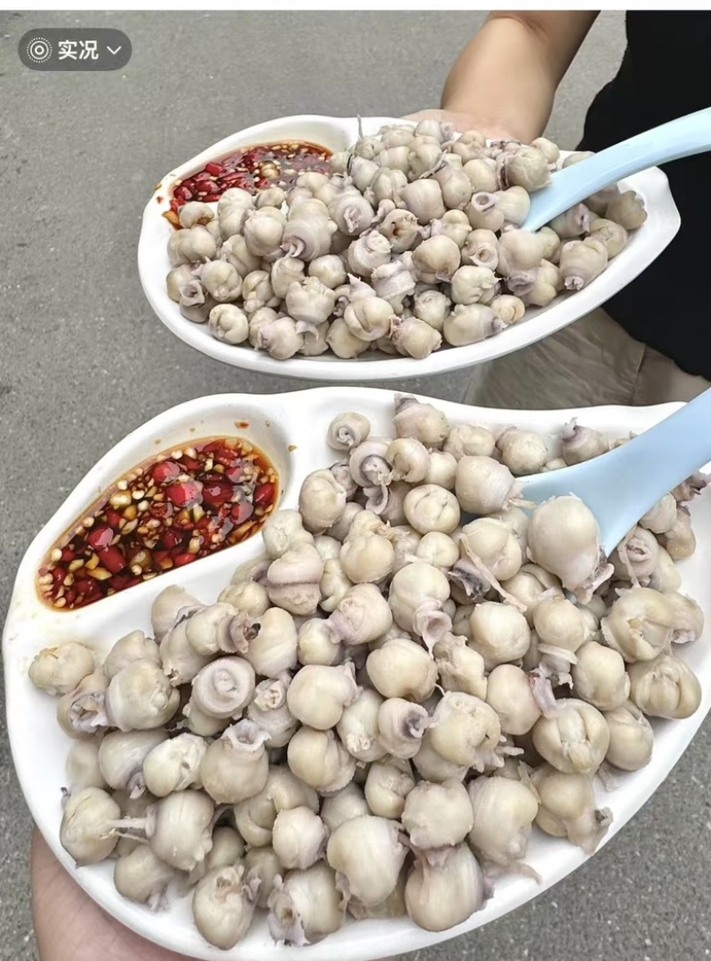 鱿鱼嘴去牙齿捞汁烧烤食材原料无冰免处理脆嫩爆炒白灼尤鱼