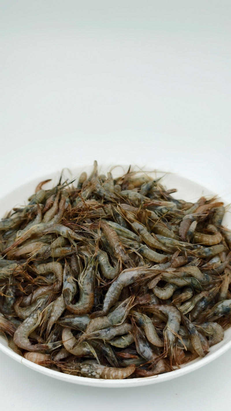 广东河虾常年大量现货供应，规格齐全，欢迎来电洽谈合作