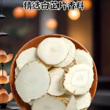当季新产白芷片、精品、粉足、香味浓郁、无熏硫、量大可优惠