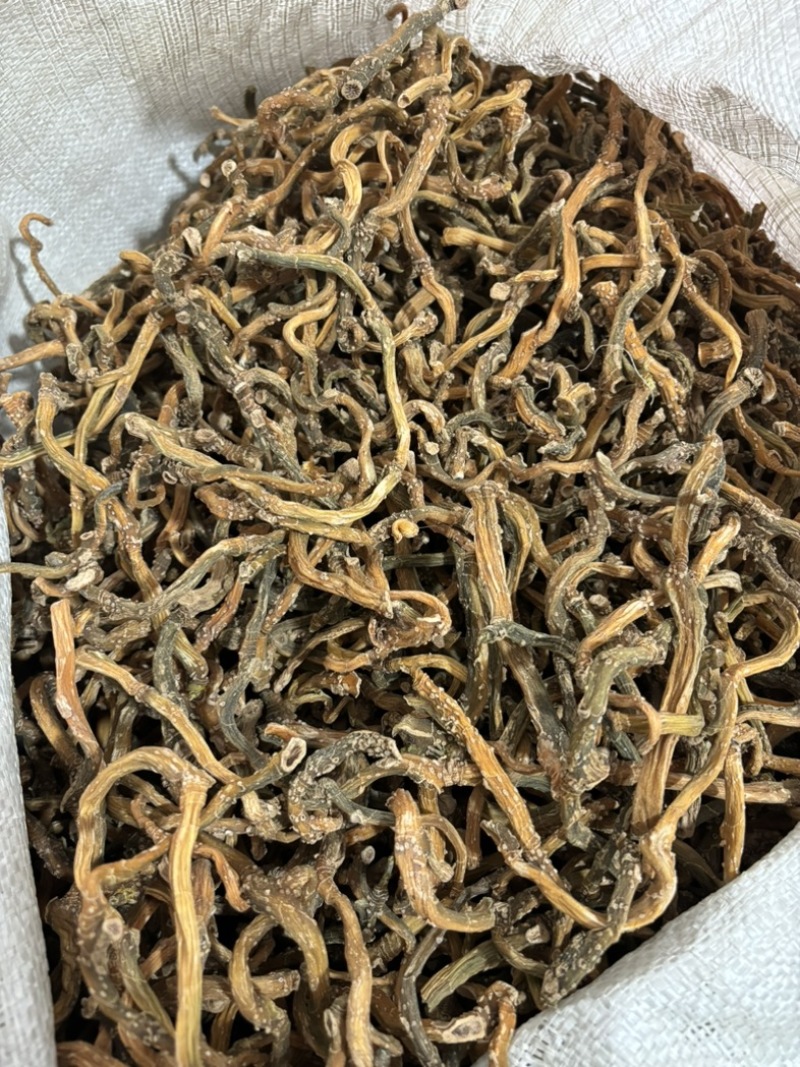 纯野生玉竹条，产地直供保质保量量大从优欢迎看货