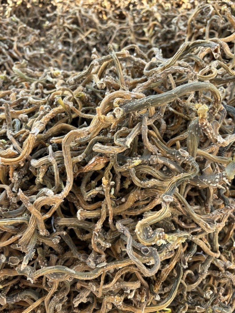 纯野生玉竹条，产地直供保质保量量大从优欢迎看货