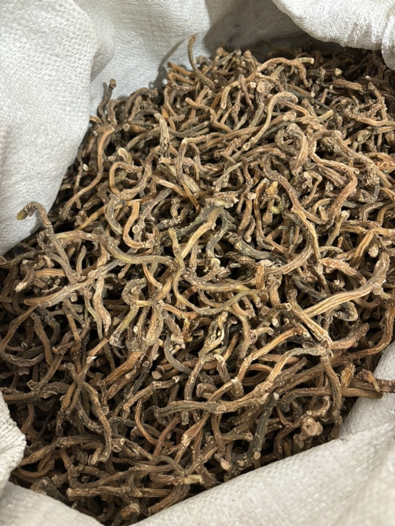纯野生玉竹条，产地直供保质保量量大从优欢迎看货