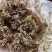 蓝花鼠尾草种子一串蓝紫花红花易活多年生宿根花卉景观庭院阳