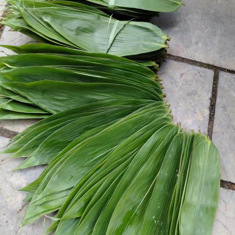 箬叶现货供应不同规格不同价格