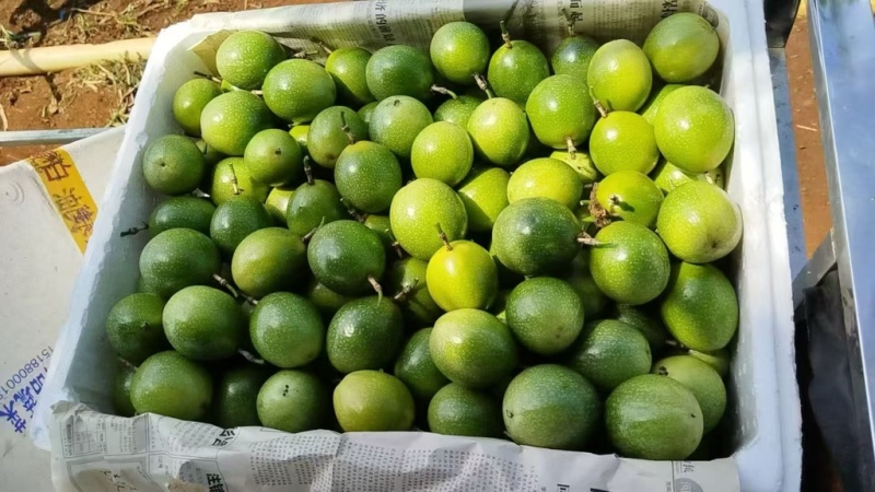 【量大从优-钦蜜9号】甄选广西百香果品质保障