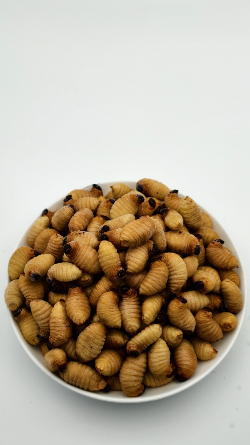 笋虫（竹笋虫）大量价优常年供货，活虫速冻品对接零售批发