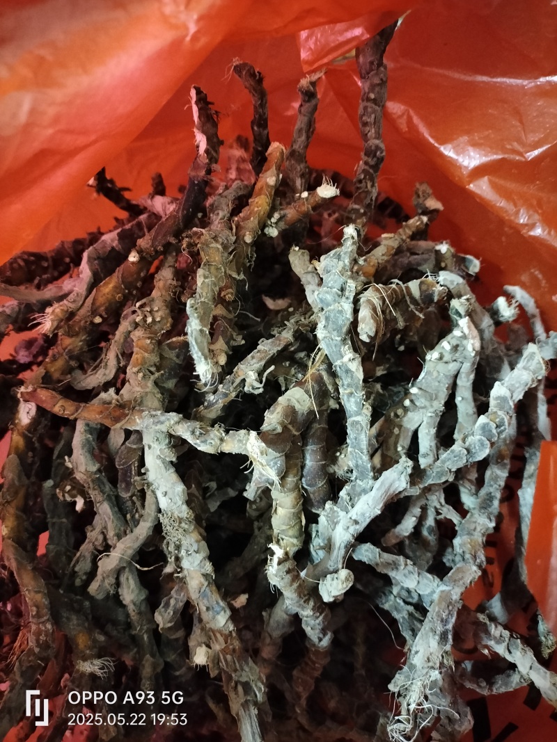 精品石昌蒲干货