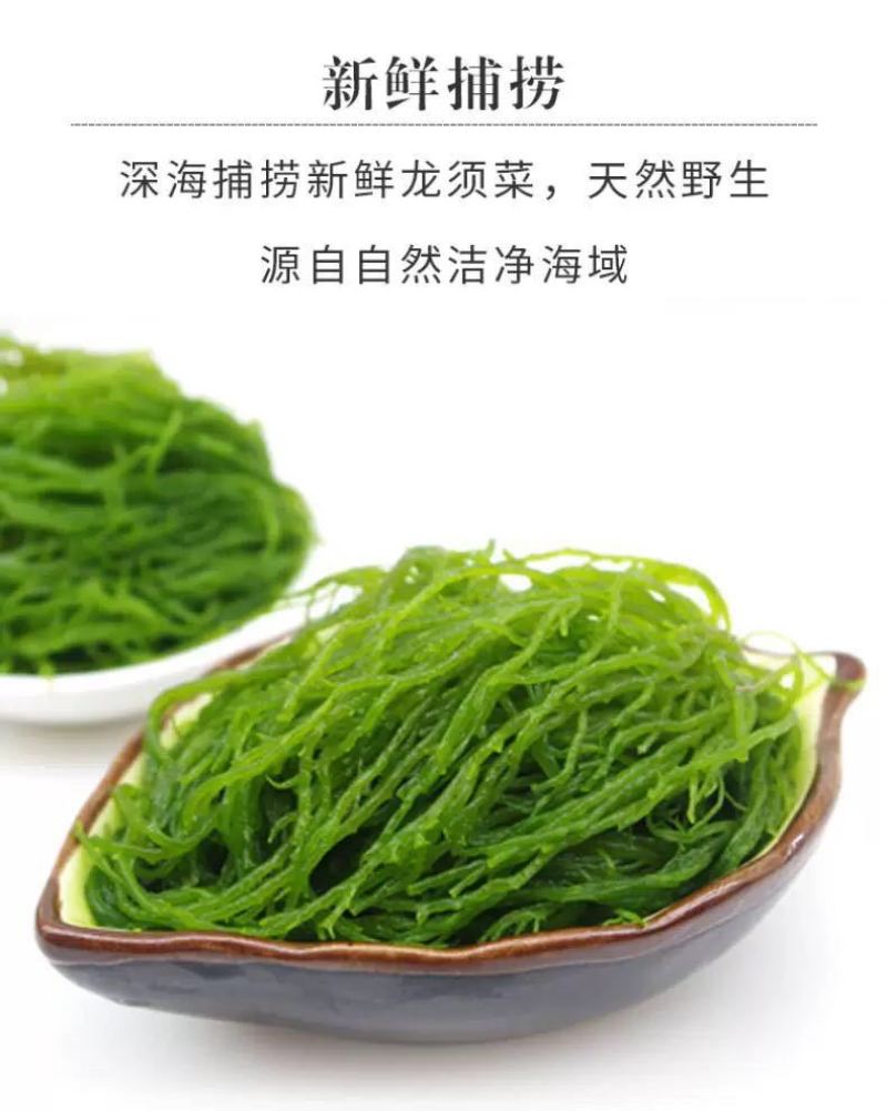 包邮)福建特产天然盐渍龙须菜5斤凉拌火锅美食