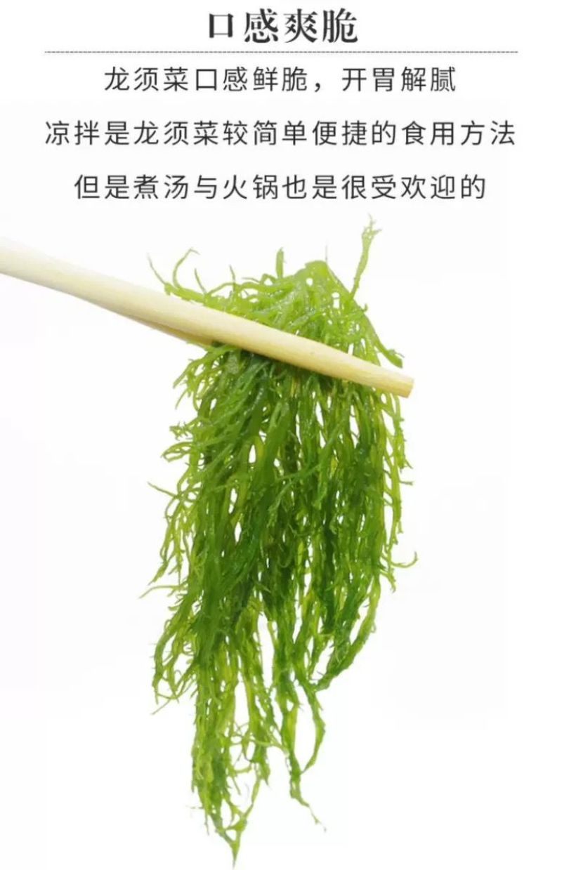 包邮)福建特产天然盐渍龙须菜5斤凉拌火锅美食