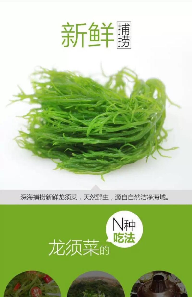 包邮)福建特产天然盐渍龙须菜5斤凉拌火锅美食