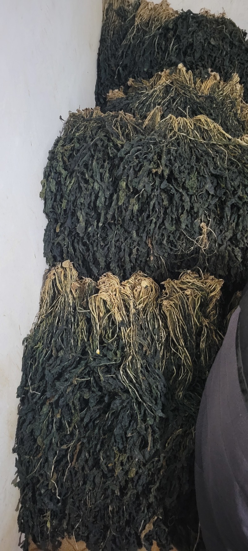 萝卜叶梅干菜干萝卜叶
