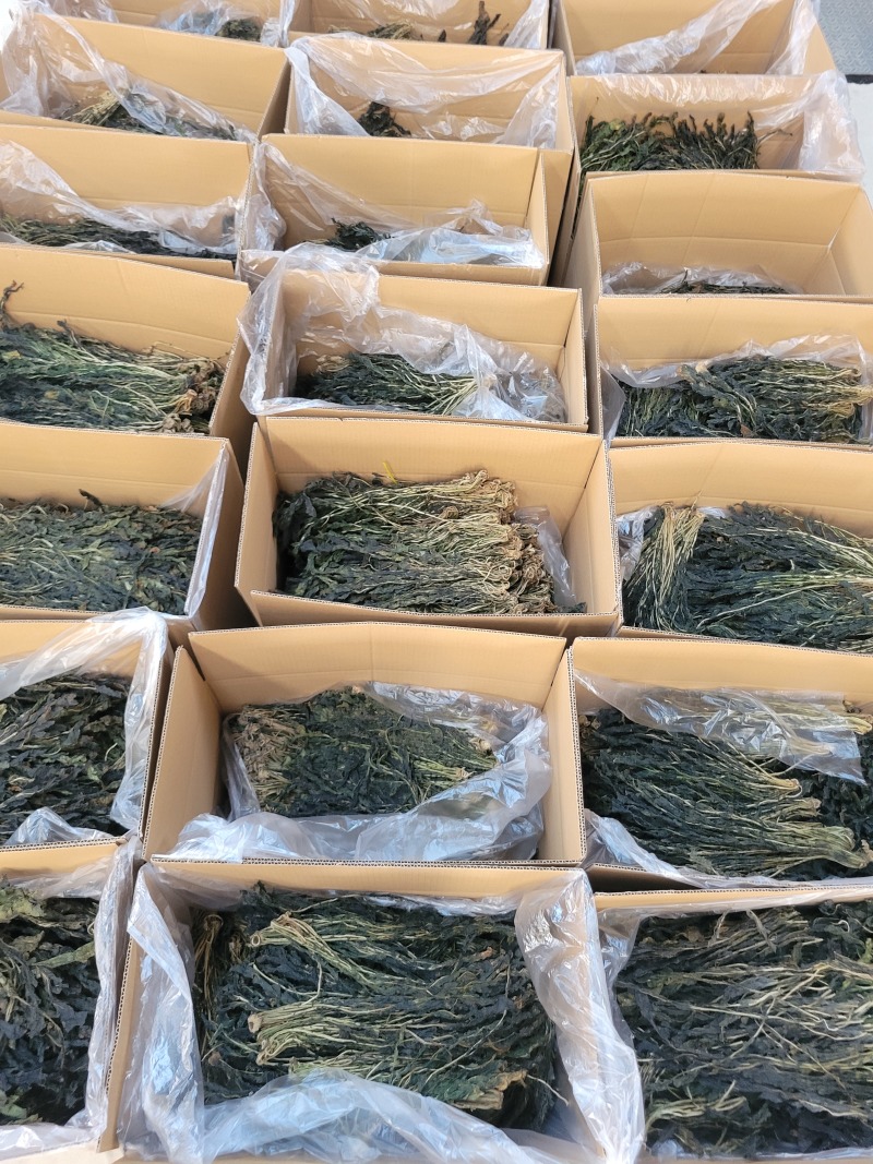 萝卜叶梅干菜干萝卜叶
