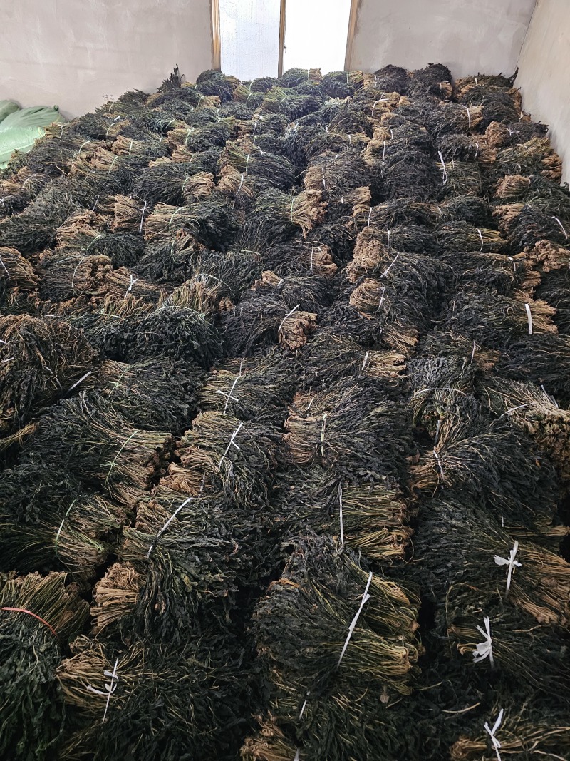 萝卜叶梅干菜干萝卜叶