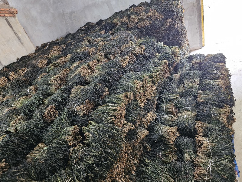 萝卜叶梅干菜干萝卜叶