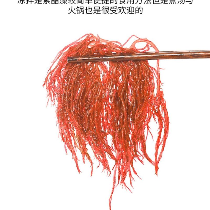 包邮【5斤海草龙须菜】龙须菜海草海石花鹿角菜海藻菜丝凉拌