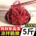 包邮【5斤海草龙须菜】龙须菜海草海石花鹿角菜海藻菜丝凉拌