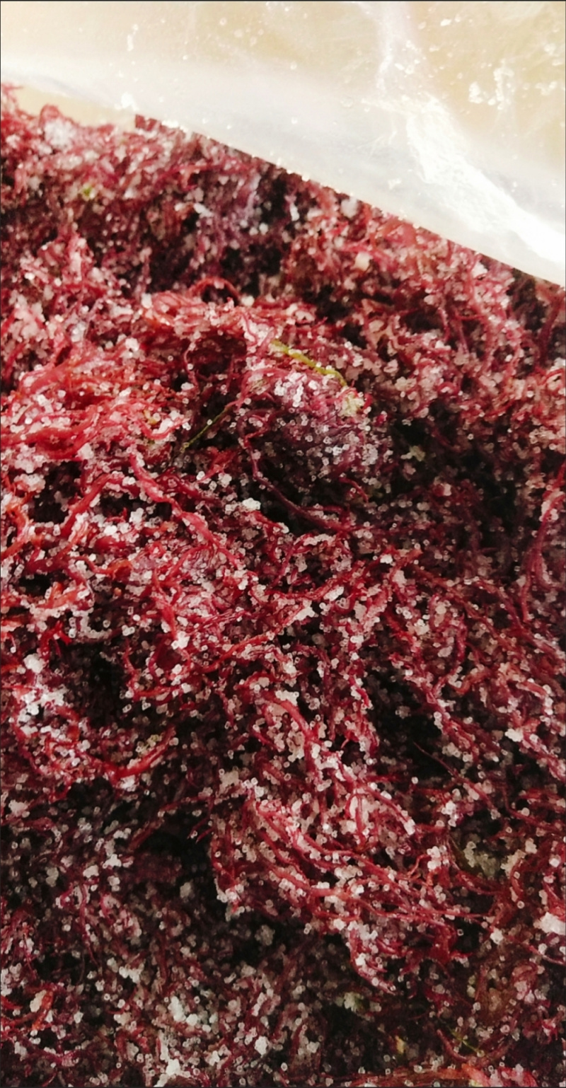 包邮【5斤海草龙须菜】龙须菜海草海石花鹿角菜海藻菜丝凉拌