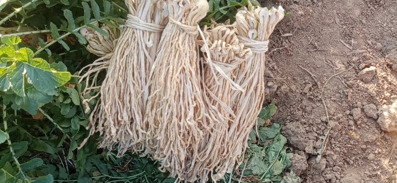 萝卜干萝卜条干萝卜条