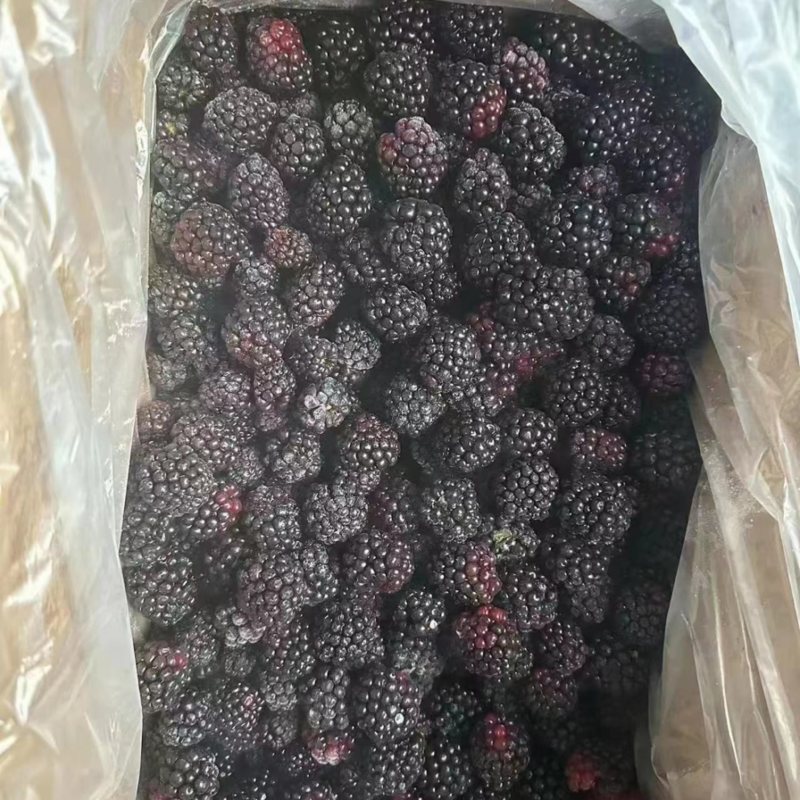 精品速冻黑莓100/0