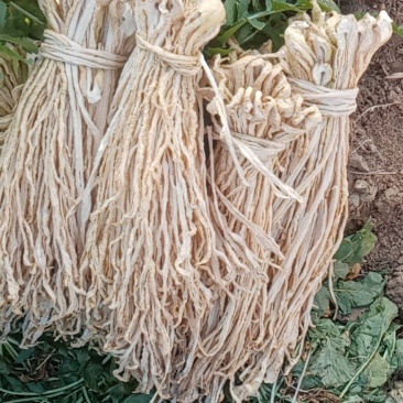 萝卜干萝卜条云南萝卜条