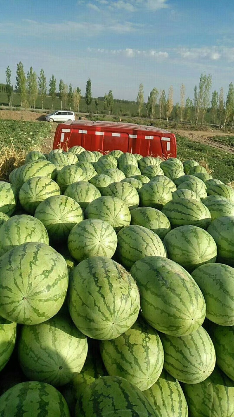 甜王西瓜，皮二西瓜，云南西瓜，口感甜，箱装耐运输