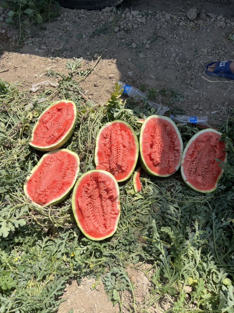 甜王西瓜，皮二西瓜，云南西瓜，口感甜，箱装耐运输