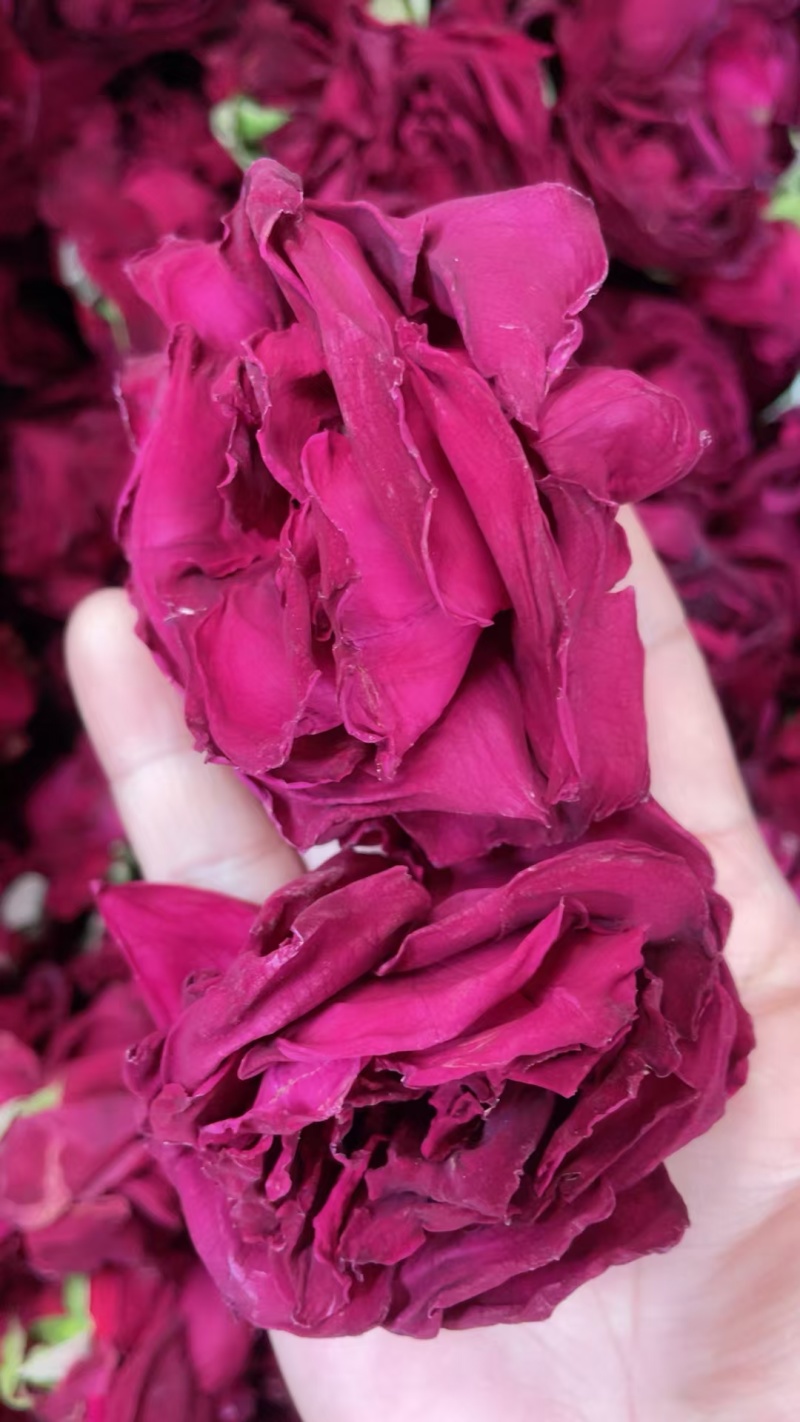 2025年新花云南冻干墨红玫瑰花茶头茬大朵头水花冠干玫瑰